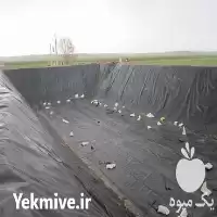 فروش استخر پرورش ماهی با ژئوممبران در تهران در گروه خرید و فروش استخر کشاورزی در یکمیوه