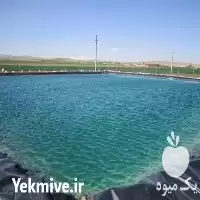 اجرای استخر های پلیمری کشاورزی در تهران در گروه خرید و فروش استخر کشاورزی در یکمیوه
