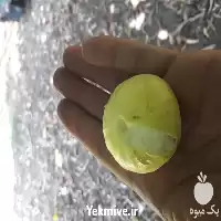 خرید نهال انجیر نژاد درشت ژاپنی در گروه خرید و فروش نهال در یکمیوه