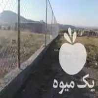 فنس کشی باغ کاری کاملا تضمینی در بوکان در گروه خرید و فروش فنس در یکمیوه