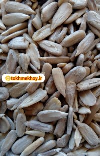 مغز تخمه آفتابگردان در خوی در گروه خرید و فروش انواع تخمه در یکمیوه