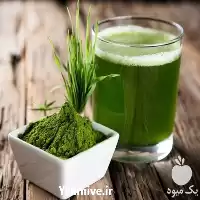 آموزشی گام به گام پرورش جلبک در گروه دوره آموزش کشاورزی در یکمیوه