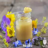 آموزشی تولید ژل رویال زنبور عسل در تهران در گروه دوره آموزش کشاورزی در یکمیوه