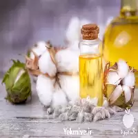 خرید پخش ویژه روغن پنبه دانه در گروه خرید و فروش گیاهان صنعتی در یکمیوه