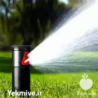 اجرای سیستم آبیاری قطره ای بارانی در تهران در گروه خرید و فروش دستگاه آبیاری در یکمیوه