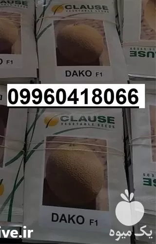 خرید بذر ملون درجه یک در تهران در گروه خرید و فروش بذر ملون در یکمیوه -عکس1