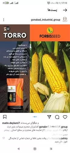 توزیع عمده خرده انواع بذر ذرت در کردستان در گروه خرید و فروش بذر ذرت در یکمیوه -عکس1