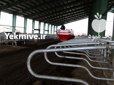 کودریز ماسه ریز فری استال مهرگان در مشهد در گروه خرید و فروش دستگاه کودپاش در یکمیوه -عکس3