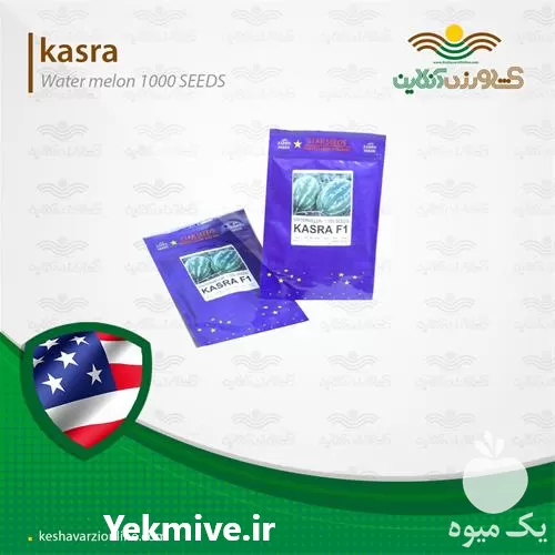 قیمت خرید بذر هندوانه کسری در تهران در گروه خرید و فروش بذر هندوانه در یکمیوه -عکس1