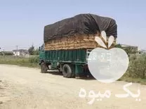 فروش کاه پرس گندم در گروه خوراک دام و طیور در یکمیوه -عکس1