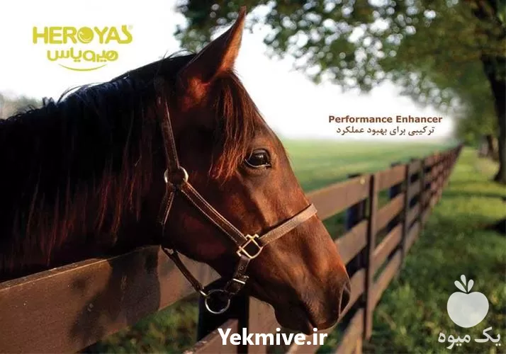 قیمت خرید مکمل غذایی هیرویاس در تهران در گروه اسب و الاغ خر و فروش قاطر در یکمیوه -عکس1