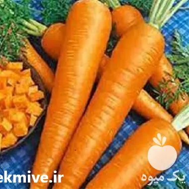 فروش بذر هویج دانورس در گروه خرید و فروش بذر هویج در یکمیوه -عکس1