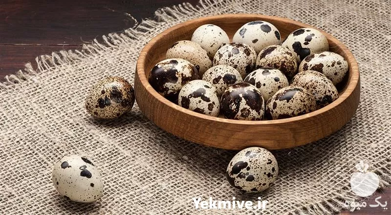 عرضه کننده بهترین قیمت تخم خوراکی در اصفهان در گروه انواع تخم ها در یکمیوه -عکس1