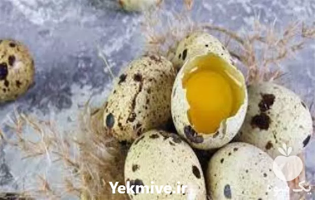 تخم بلدرچین تازه با بهترین کیفیت در گروه انواع تخم ها در یکمیوه -عکس1