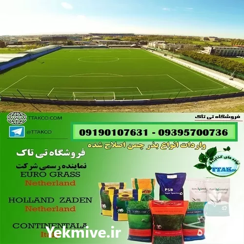 قیمت خرید بذرچمن در گروه خرید و فروش بذر چمن در یکمیوه -عکس1