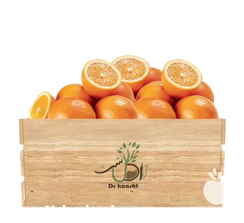 عمده نهال پرتقال یافا انواع ارقام در تبریز در گروه خرید و فروش نهال پرتقال در یکمیوه -عکس1