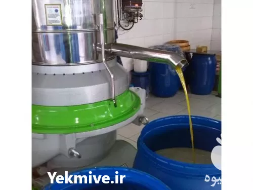 روغن زیتون مستقیم از باغدار تولید در رودبار در گروه خرید و فروش انواع روغن در یکمیوه -عکس1
