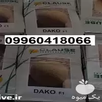 خرید بذر ملون درجه یک در تهران در گروه خرید و فروش بذر ملون در یکمیوه