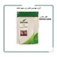بذر پیاز قرمز بذر پیاز 7030 در گروه خرید و فروش بذر پیاز در یکمیوه