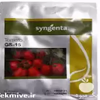بذر گوجه جی اس 15 سینجینتا در گروه خرید و فروش بذر گوجه در یکمیوه