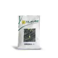 بذر خیار اورکا کلوز فرانسه OREKA در تهران در گروه خرید و فروش بذر خیار در یکمیوه