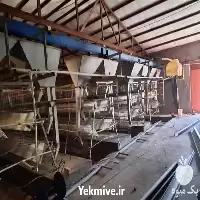 فروش لوازم مرغداری دست دوم در گروه تجهیزات مرغداری در یکمیوه