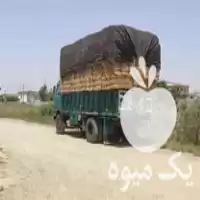 فروش کاه پرس گندم در گروه خوراک دام و طیور در یکمیوه