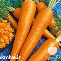 فروش بذر هویج دانورس در گروه خرید و فروش بذر هویج در یکمیوه