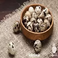 عرضه کننده بهترین قیمت تخم خوراکی در اصفهان