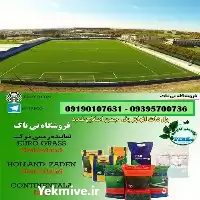 قیمت خرید بذرچمن در گروه خرید و فروش بذر چمن در یکمیوه