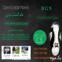 فروش گاودوش شیردوش سیاربرقی در تهران در گروه تجهیزات دامداری در یکمیوه