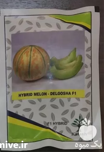 فروش بذر ملون شاهپسند F 1 در گروه خرید و فروش بذر ملون در یکمیوه -عکس1