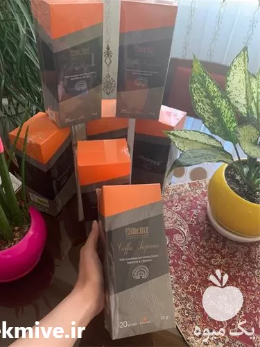 قیمت خرید قارچ گانودرما دکتر بیز در گروه خرید و فروش قارچ در یکمیوه -عکس1