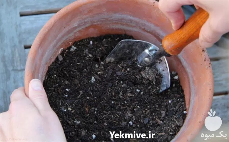 فروش خاک گیاهان آپارتمانی 10 لیتری در تهران در گروه انواع محصولات خاک و تغذیه در یکمیوه -عکس1