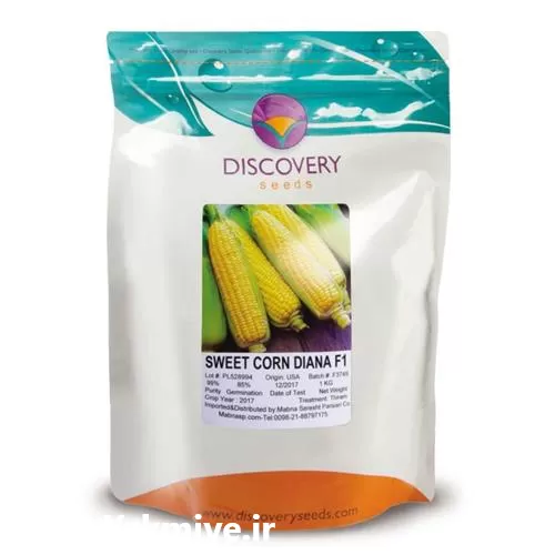 قیمت خرید بذر دیانا هیبرید در کرمان  در گروه خرید و فروش بذر ذرت در یکمیوه -عکس1