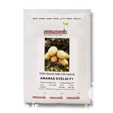 فروش بذر خربزه آناناسی اولین اماسیدز در خراسان جنوبی در گروه خرید و فروش بذر خربزه در یکمیوه -عکس1