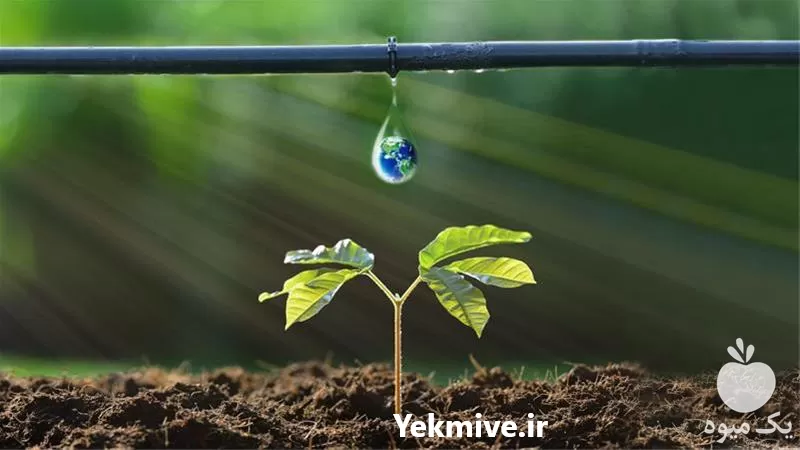 کارخانه فروش نوار تیپ در تهران در گروه خرید و فروش نوار تیپ در یکمیوه -عکس1