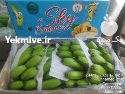 موز هندی پریمیوم برند اسکای در قم در گروه خرید و فروش موز در یکمیوه -عکس1