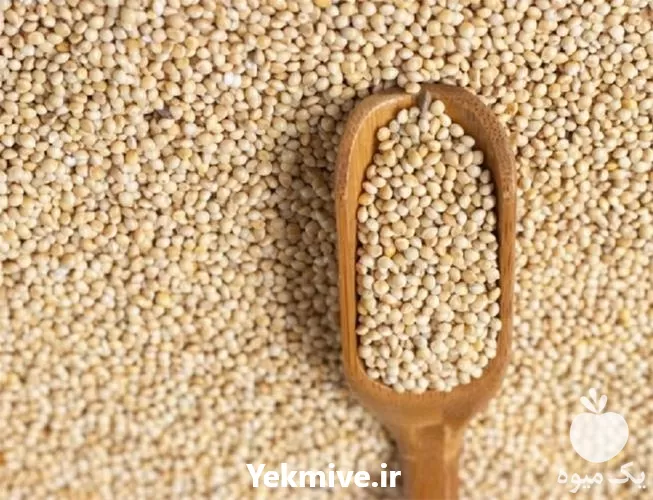 فروش پخش ارزن به سراسر کشور در اصفهان در گروه خرید و فروش غلات و حبوبات در یکمیوه -عکس1