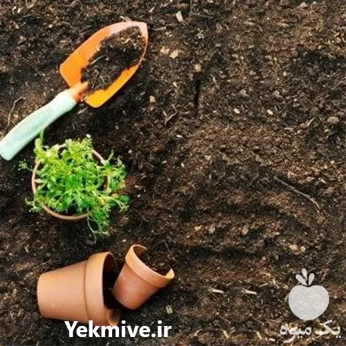 خرید کمپوست گیاهی و غنی شده در گروه خرید و فروش کود کمپوست در یکمیوه -عکس1