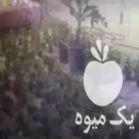 فروش نهال موز کاوندیش اصلاح شده در سمنان در گروه خرید و فروش نهال موز در یکمیوه