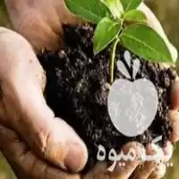 قیمت خرید کمپوست گیاهی در گروه خرید و فروش کود کمپوست در یکمیوه