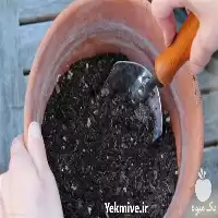 فروش خاک گیاهان آپارتمانی 10 لیتری در تهران در گروه انواع محصولات خاک و تغذیه در یکمیوه