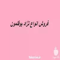 جوجه یک روزه گوشتی با بهترین در گروه مرغ و خروس و بوقلمون و اردک قو قاز در یکمیوه
