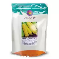 قیمت خرید بذر دیانا هیبرید در کرمان  در گروه خرید و فروش بذر ذرت در یکمیوه