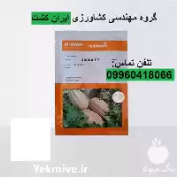 بذر خربزه جانا در گروه خرید و فروش بذر خربزه در یکمیوه
