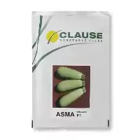 فروش بذر کدو خورشتی اسما کلوز در گروه خرید و فروش بذر کدو در یکمیوه