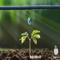 کارخانه فروش نوار تیپ در تهران در گروه خرید و فروش نوار تیپ در یکمیوه