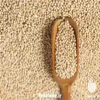 فروش پخش ارزن به سراسر کشور در اصفهان در گروه خرید و فروش غلات و حبوبات در یکمیوه