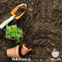 خرید کمپوست گیاهی و غنی شده در گروه خرید و فروش کود کمپوست در یکمیوه